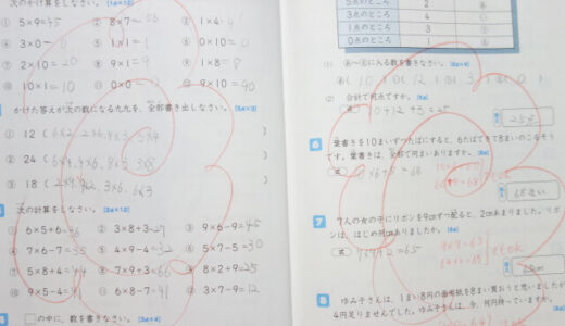 中学受験(受検)で親が宿題の丸つけをするメリット・デメリット